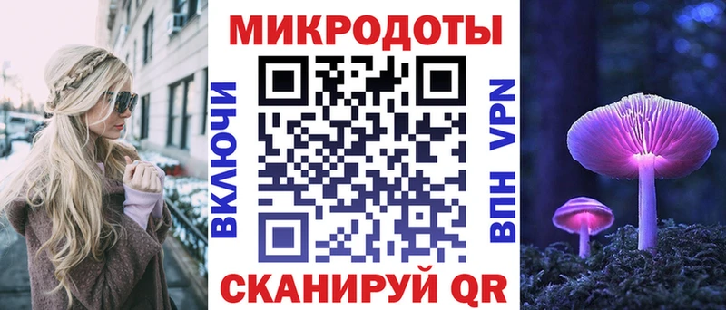 цены   Ковров  Псилоцибиновые грибы Psilocybine cubensis 
